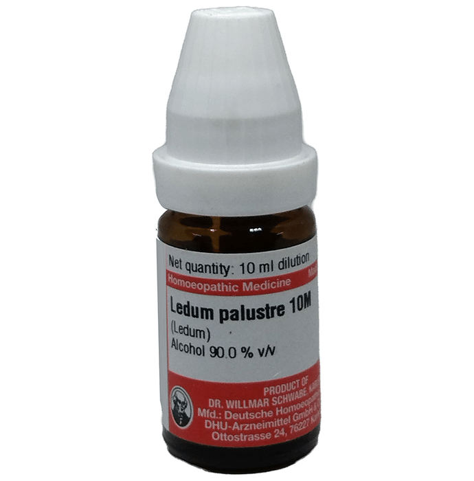 Dr Willmar Schwabe Germany Ledum Palustre Dilution 10M