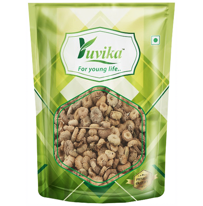 Yuvika Khubbaji - Malva Sylvestris Linn