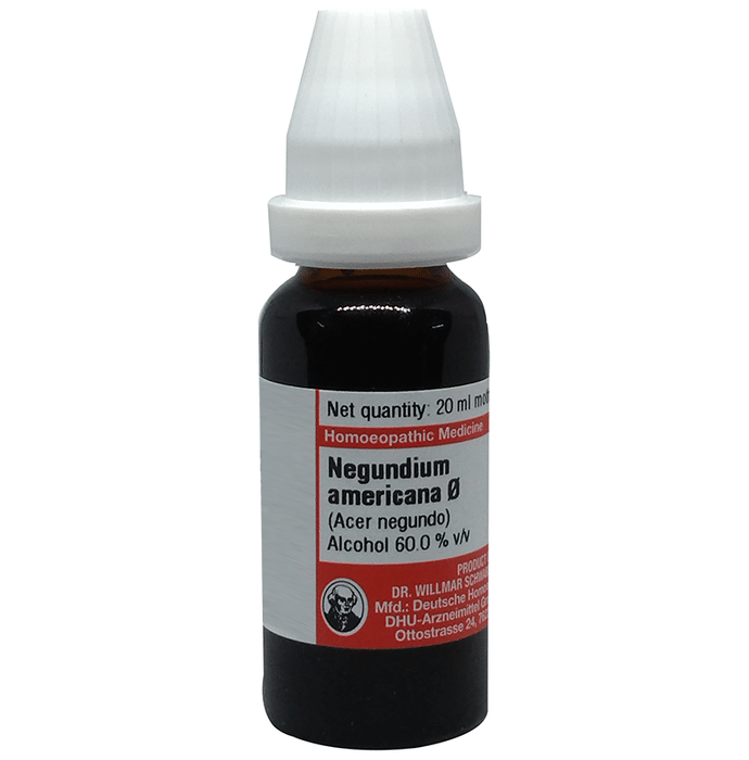 Dr Willmar Schwabe Germany Negundium Americana Mother Tincture Q