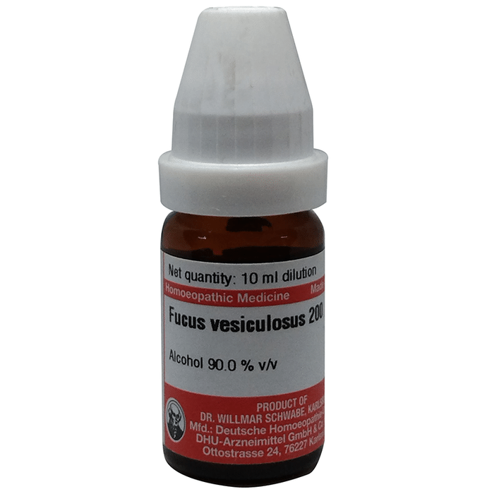 Dr Willmar Schwabe Germany Focus Vesiculosus Dilution 200